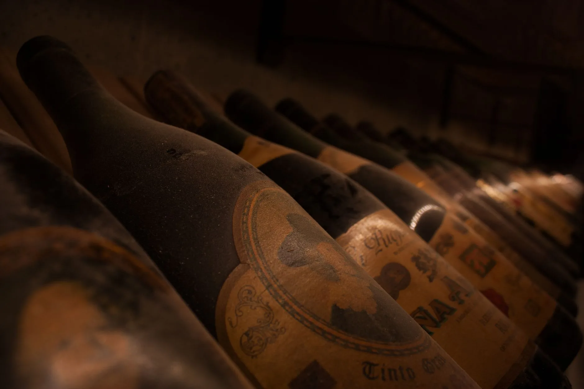 Row of dusty vintage wine bottles in a dimly lit cellar, showcasing age and rarity.
